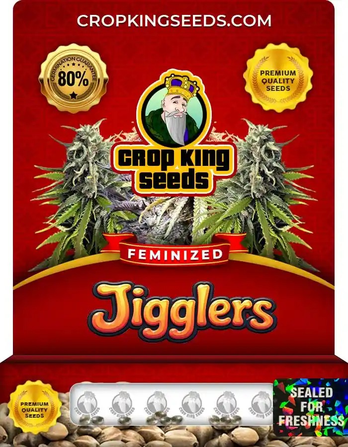 Jigglers Strain Feminized Marijuana Seeds