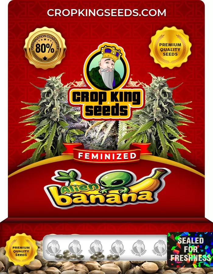 Alien Banana Feminized Marijuana Seeds