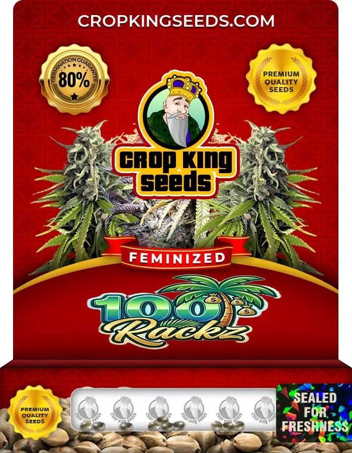 100 Rackz Strain Feminized Seeds