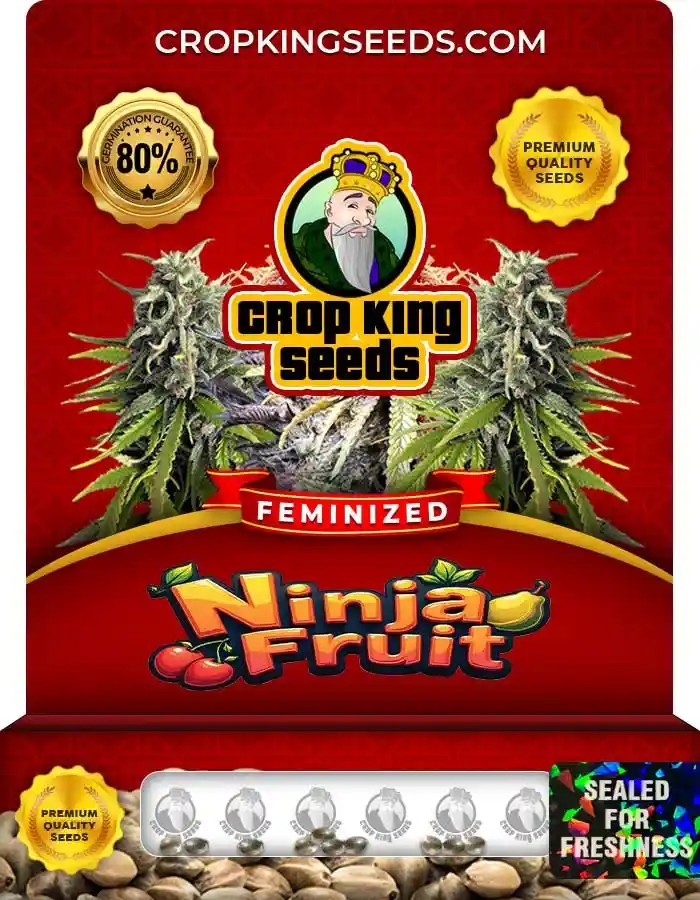 Ninja Fruit Feminized Seeds