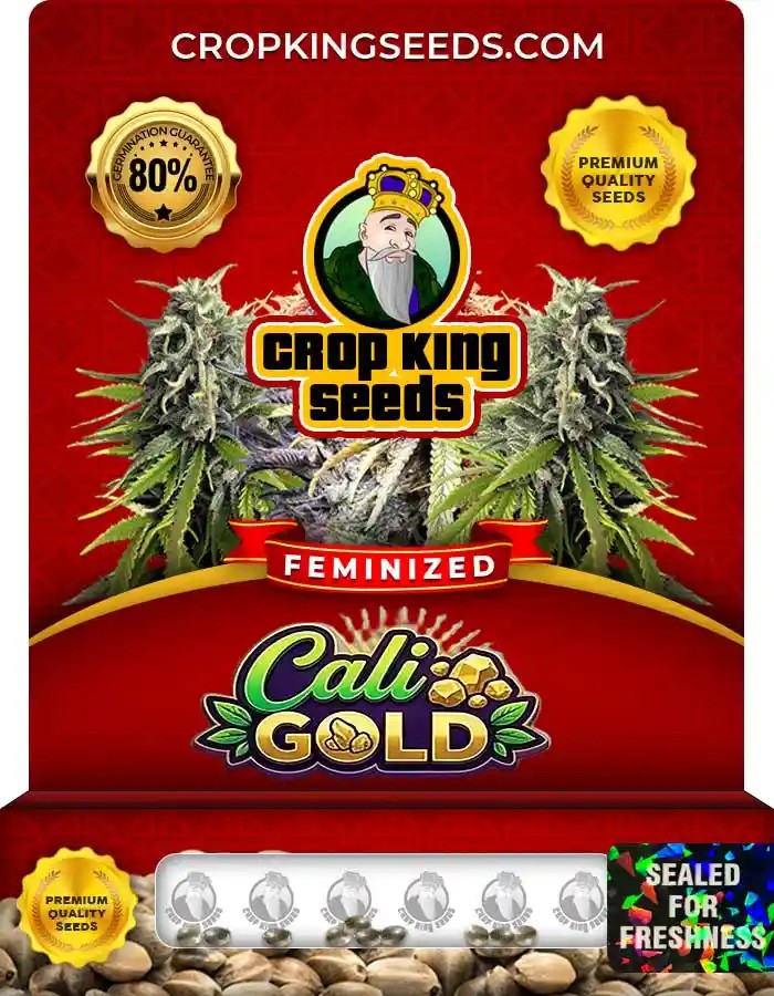 Cali Gold Feminized Seeds