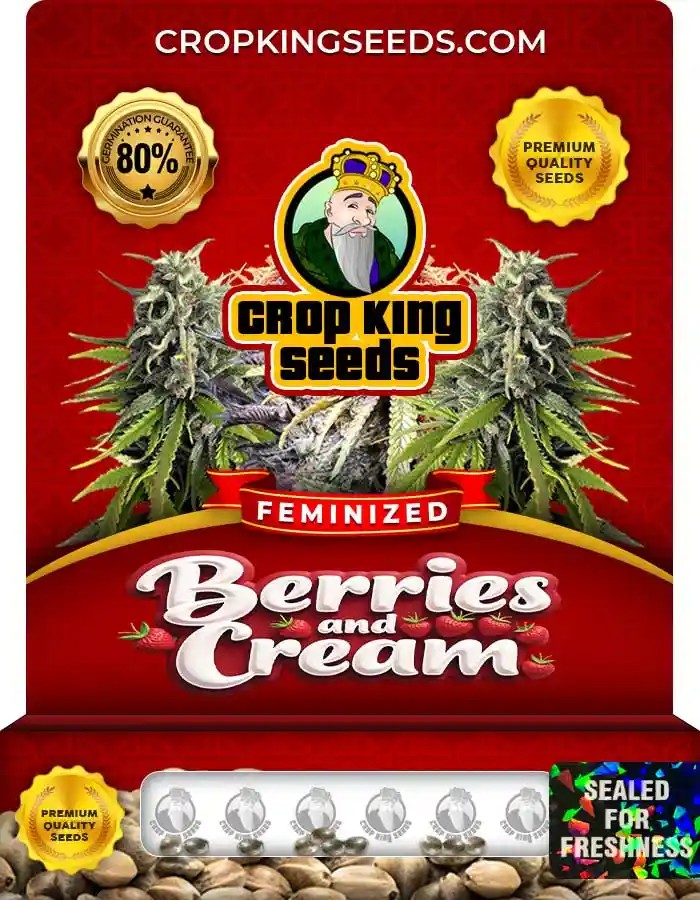 Berries and Cream Strain Feminized Marijuana Seeds