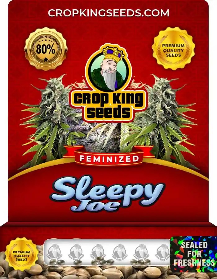 Sleepy Joe Feminized Seeds