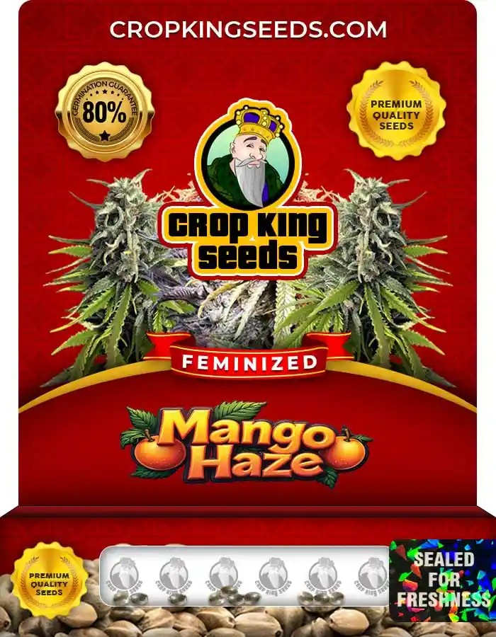 Mango Haze Feminized Seeds