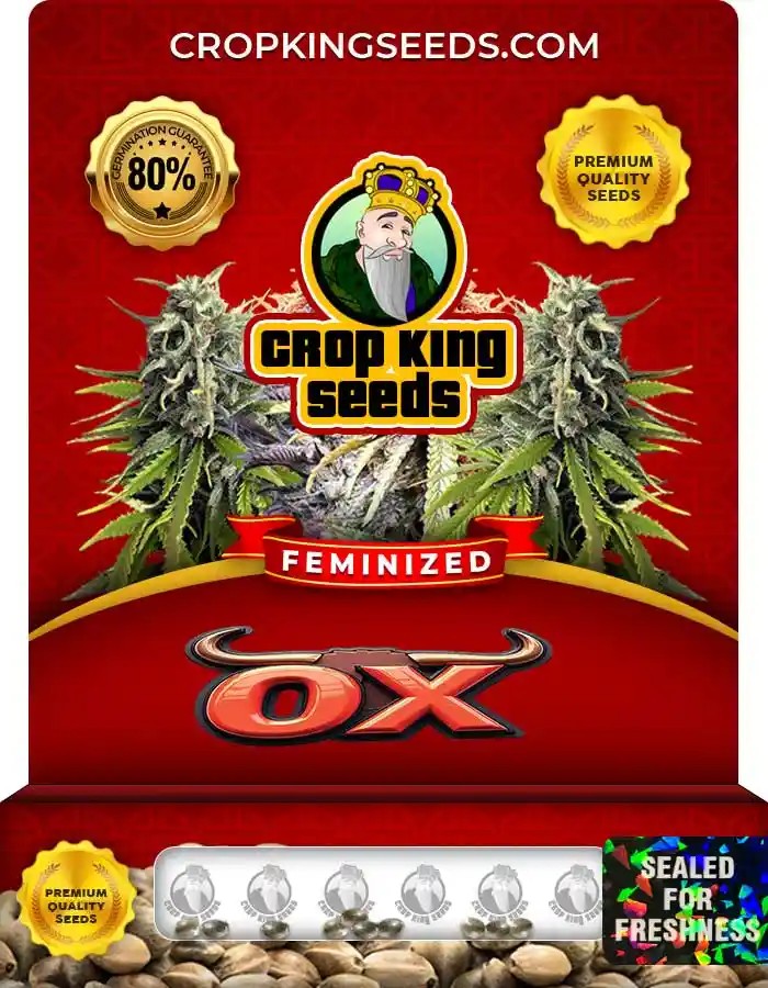 Ox Strain Feminized Marijuana Seeds