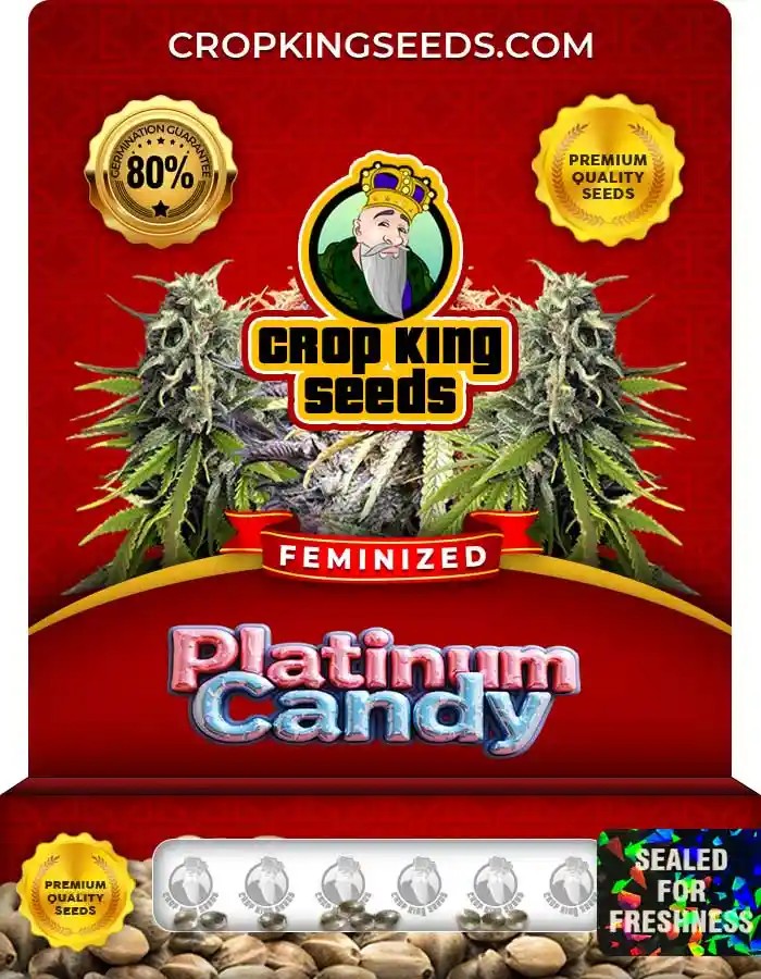 Platinum Candy Feminized Seeds
