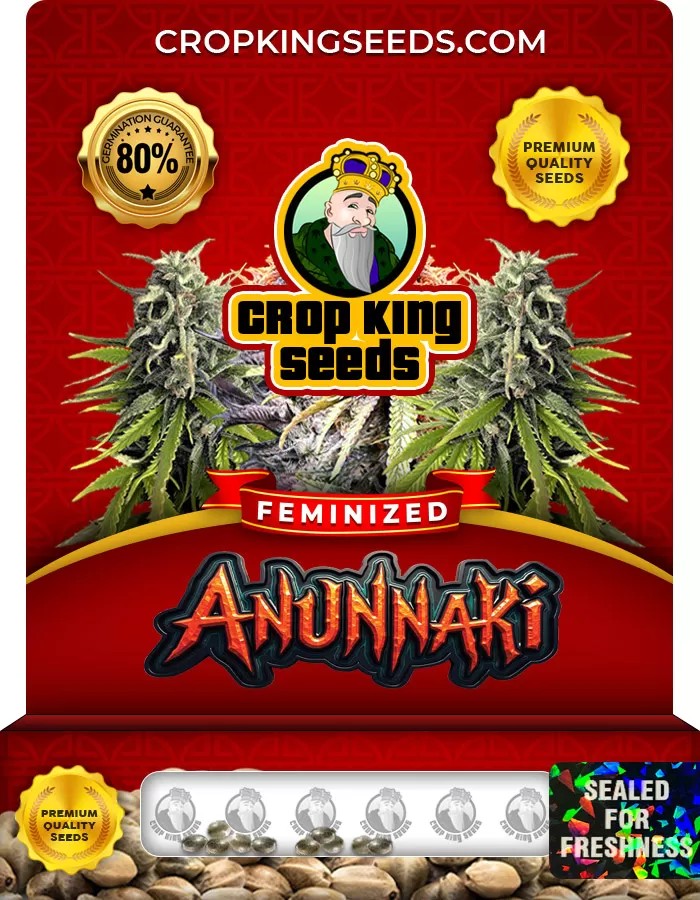 Anunnaki Feminized Marijuana Seeds