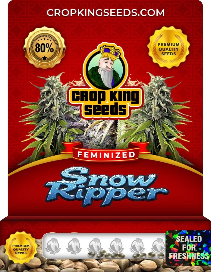 Snow Ripper Feminized Marijuana Seeds