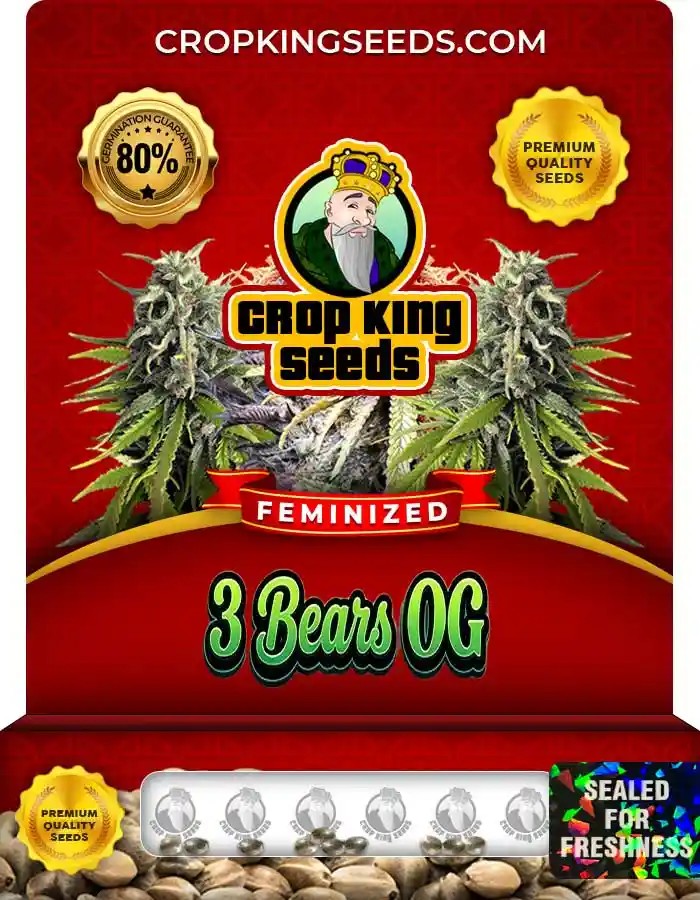 3 Bears OG Feminized Seeds