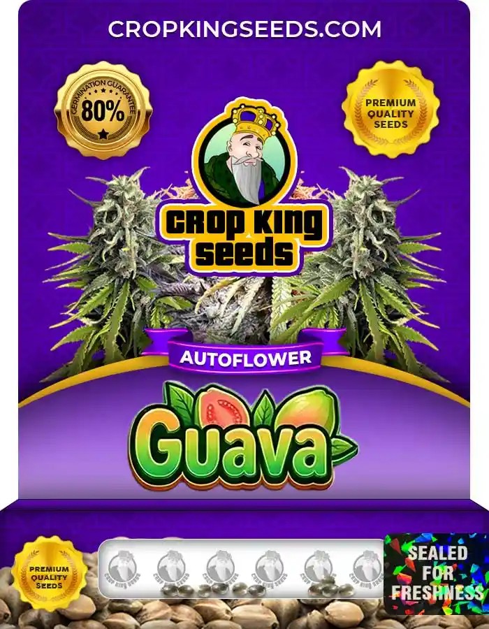 Guava Autoflower Seeds