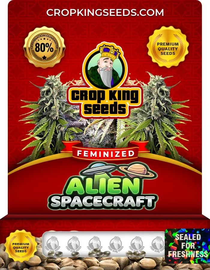 Alien Spacecraft Strain Feminized Seeds