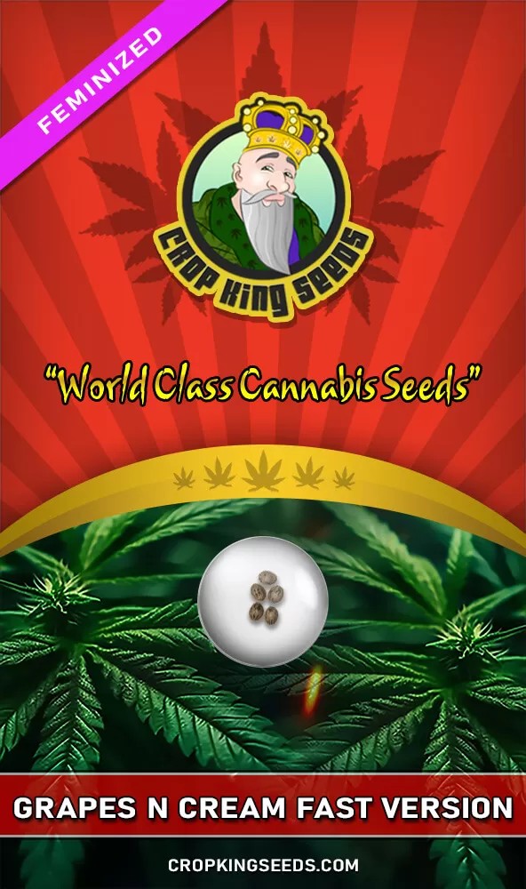Grapes N Cream Strain Fast Version Feminized Marijuana Seeds