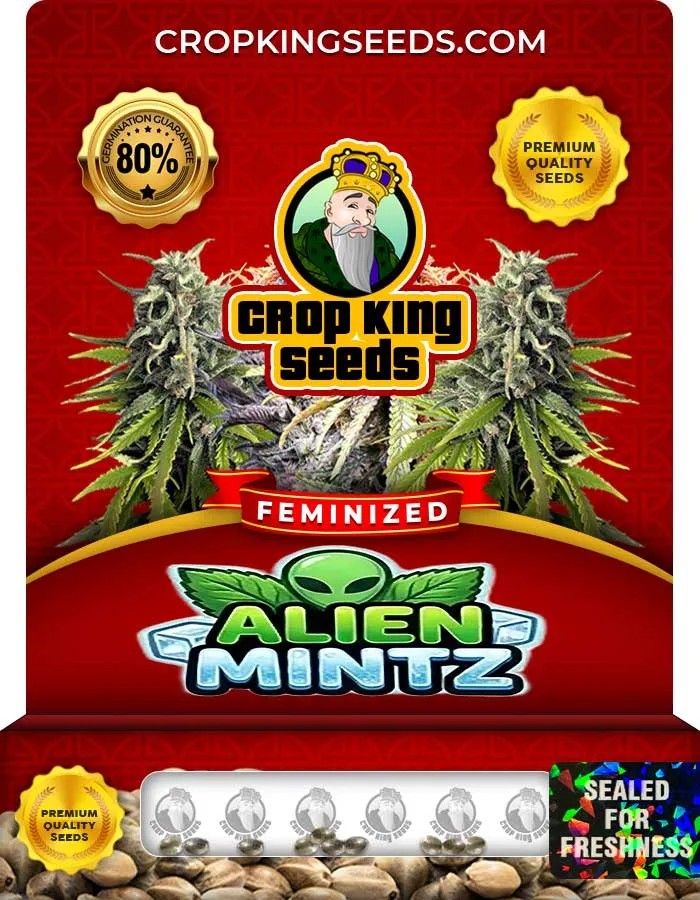 Alien Mintz Strain Feminized Seeds