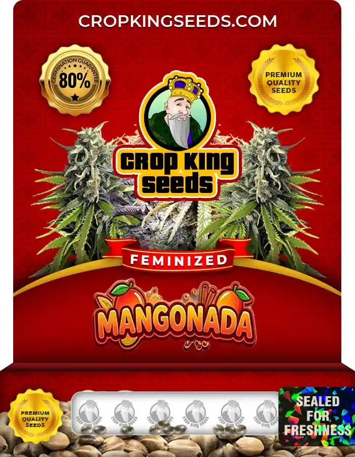 Mangonada Strain Feminized Marijuana Seeds