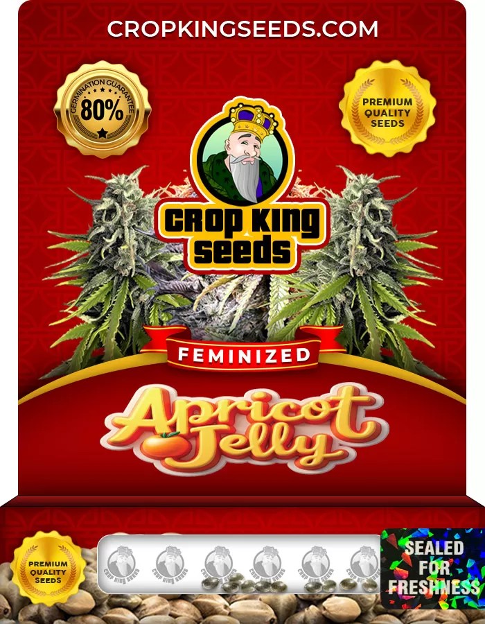 Apricot Jelly Feminized Seeds