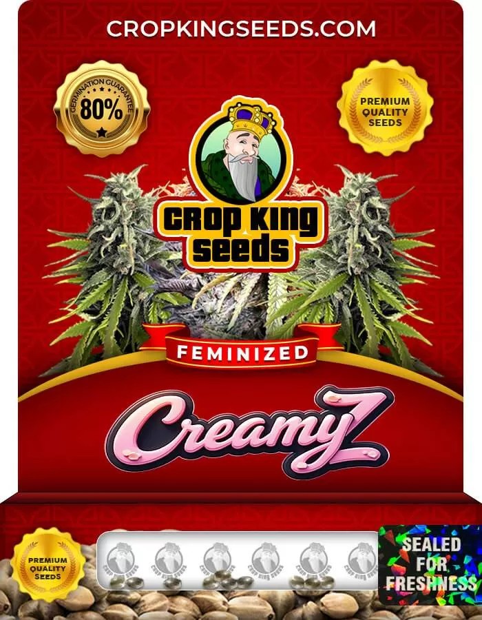 Creamy Z Feminized Seeds