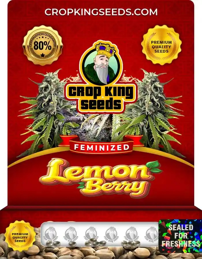 Lemon Berry Strain Feminized Marijuana Seeds