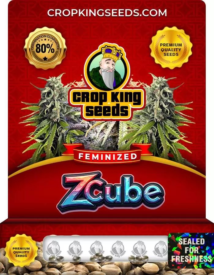 Z Cube Strain Feminized Marijuana Seeds