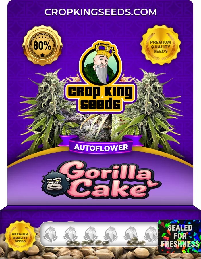 Gorilla Cake Autoflower Marijuana Seeds