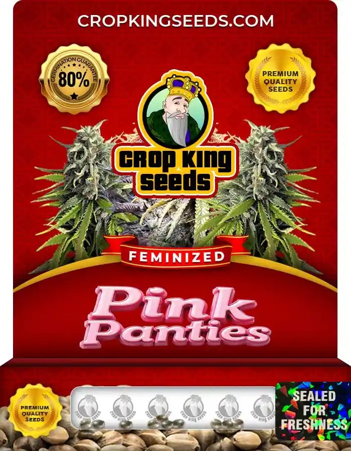 Pink Panties Feminized Seeds