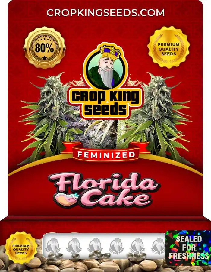 Florida Cake Strain Feminized Marijuana Seeds