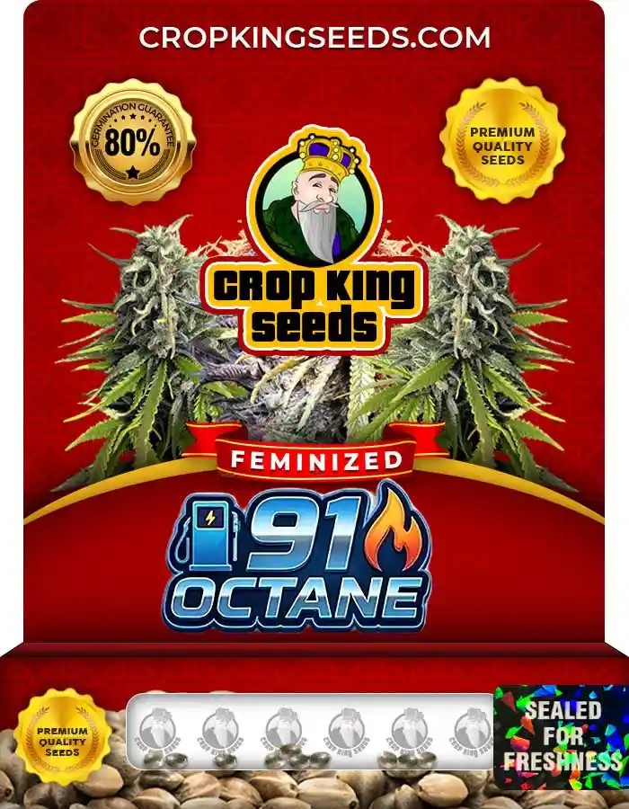 91 Octane Strain Feminized Marijuana Seeds