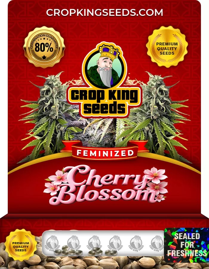 Cherry Blossom Feminized Marijuana Seeds