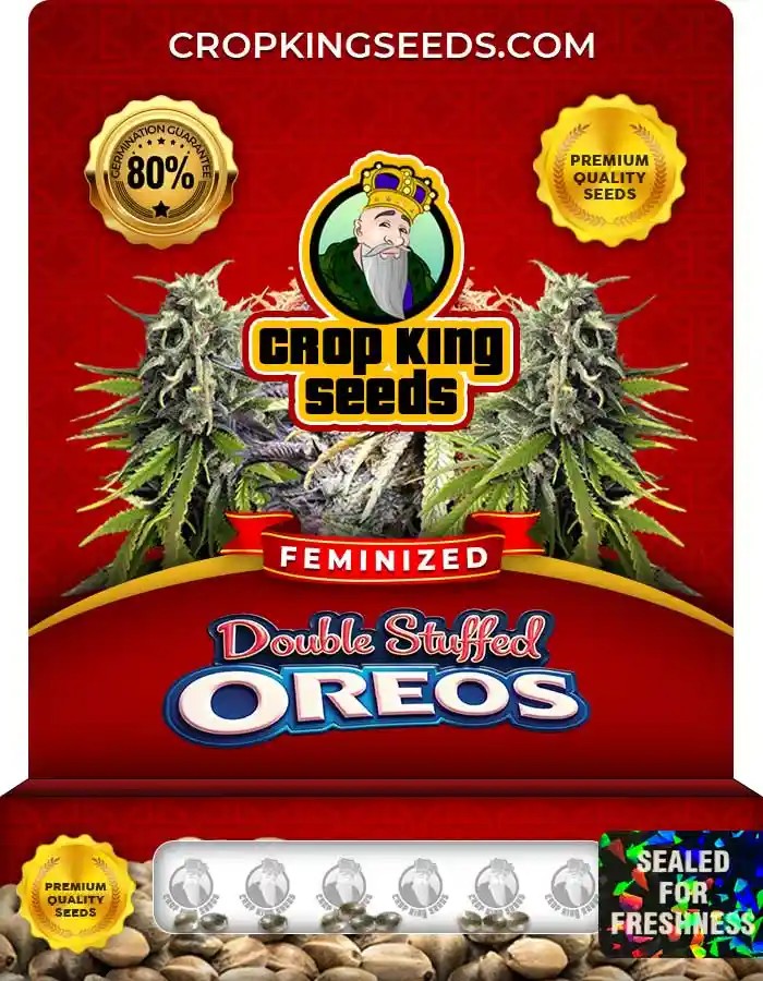Double Stuffed Oreos Strain Feminized Marijuana Seeds
