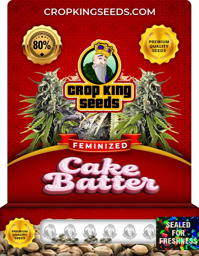Cake Batter Feminized Marijuana Seeds