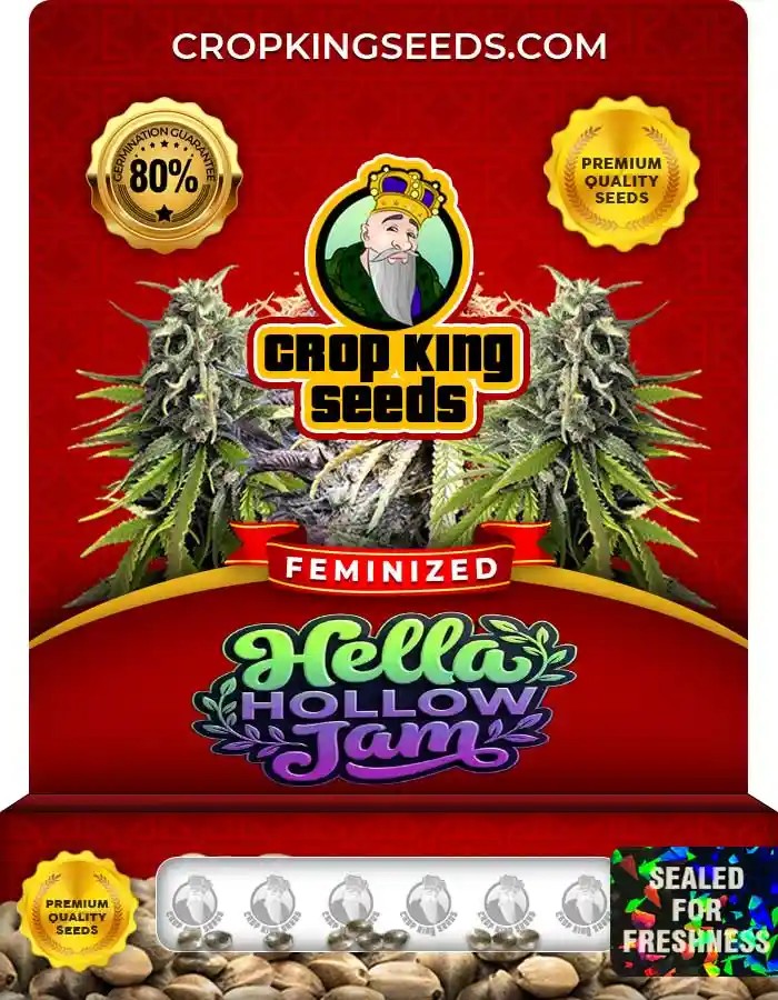 Hella Hollow Jam Strain Feminized Seeds