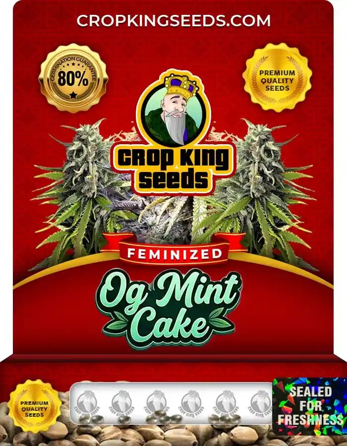 OG Mint Cake Strain Feminized Seeds
