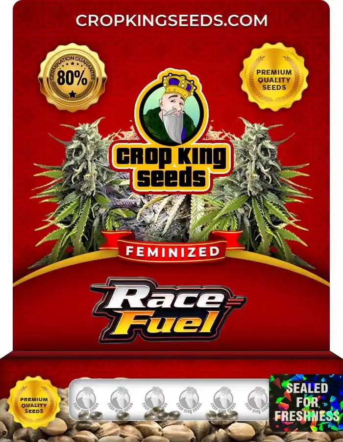 Race Fuel Strain Feminized Marijuana Seeds