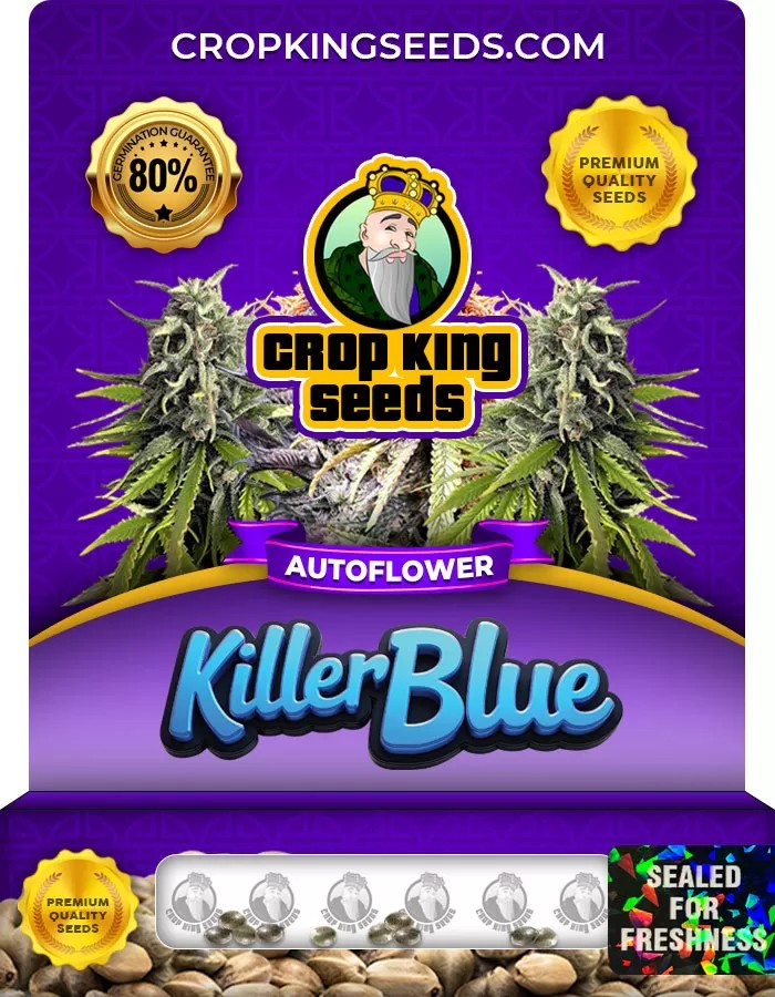 Killer Blue Autoflower Marijuana Seeds