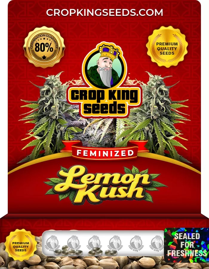 Lemon Kush Feminized Marijuana Seeds