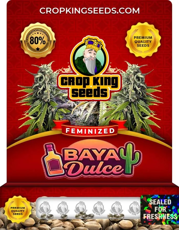 Baya Dulce Strain Feminized Seeds