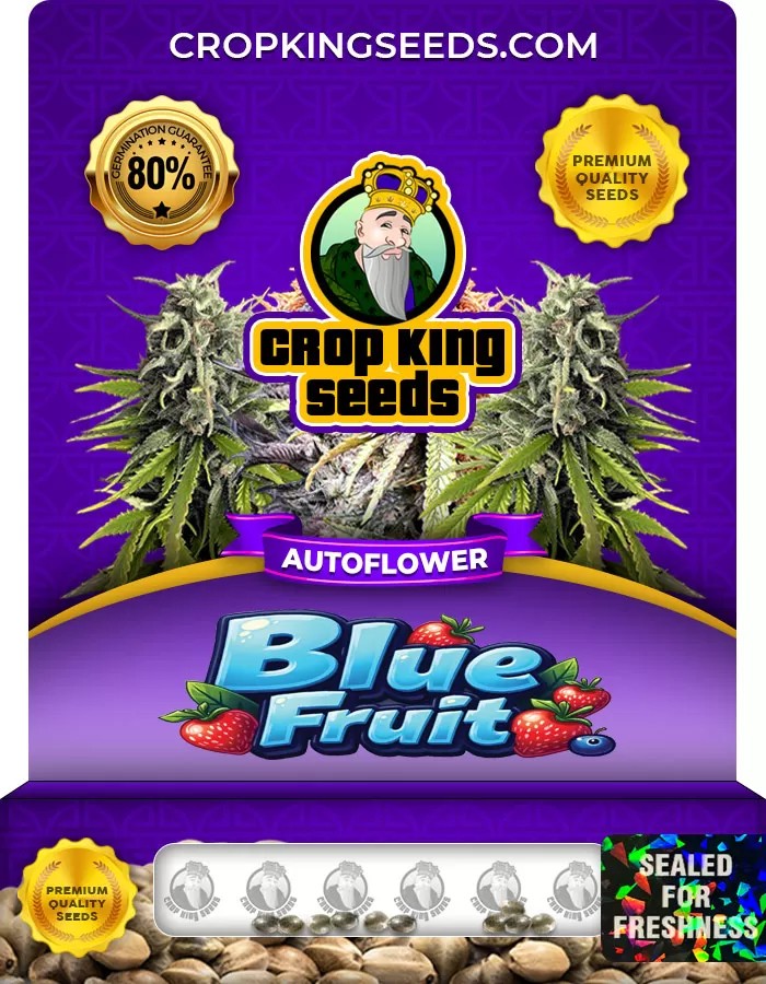 Blue Fruit Autoflowering Marijuana Seeds