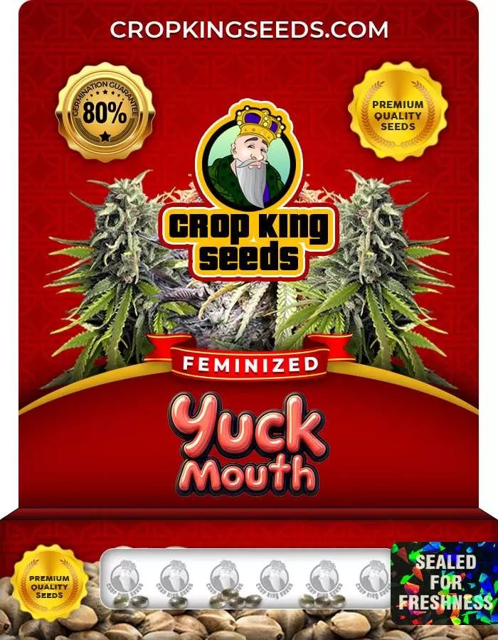 Yuck Mouth Strain Feminized Marijuana Seeds