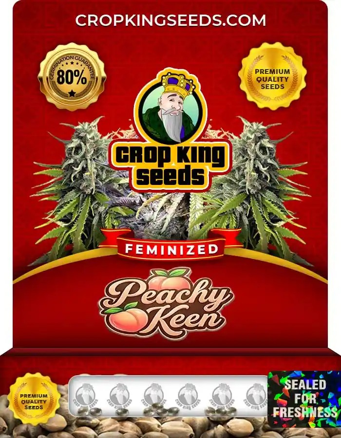 Peachy Keen Feminized Seeds