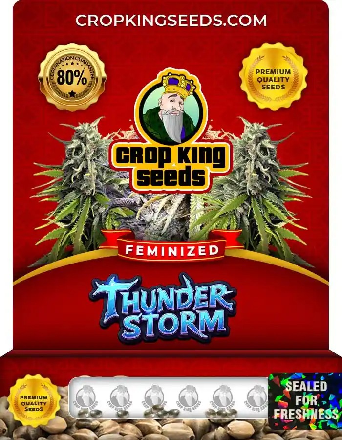 Thunder Storm Strain Feminized Seeds