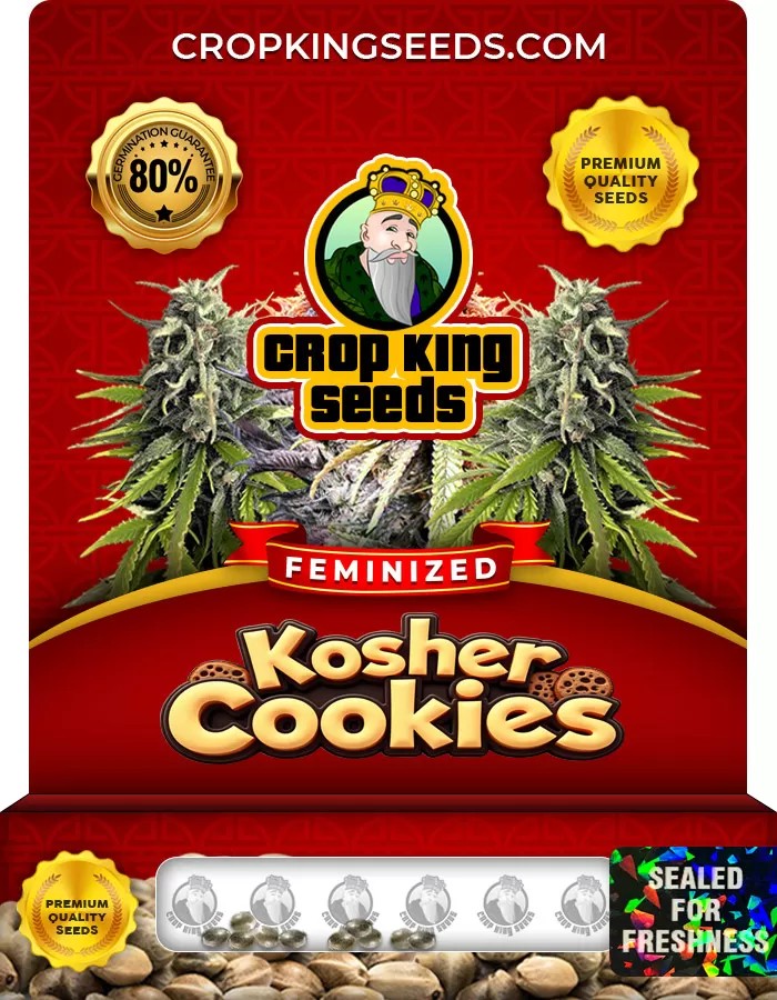 Kosher Cookies Feminized Marijuana Seeds