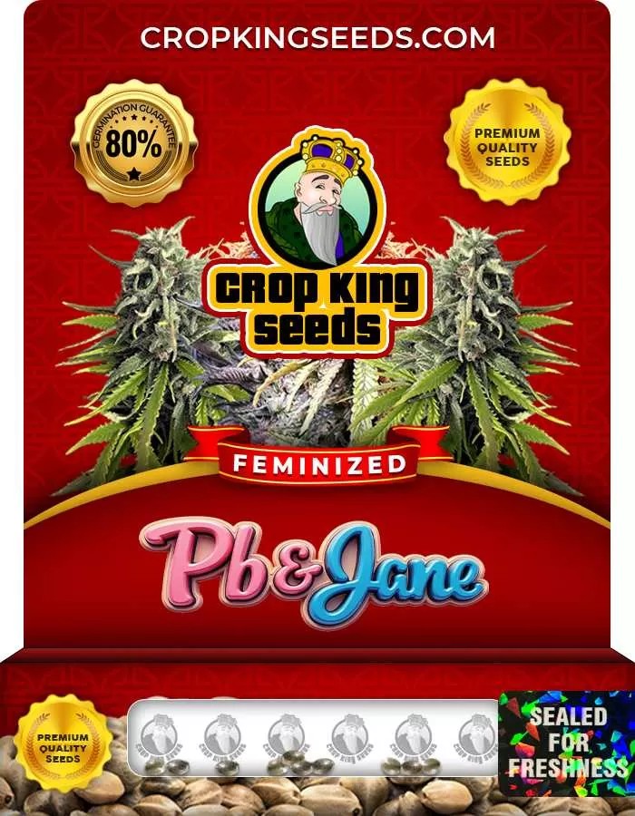 Pb and Jane Feminized Seeds