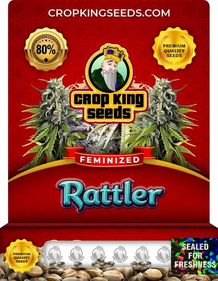 Rattler Feminized Seeds