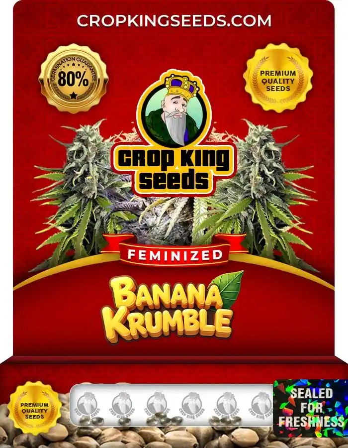Banana Krumble Strain Feminized Seeds