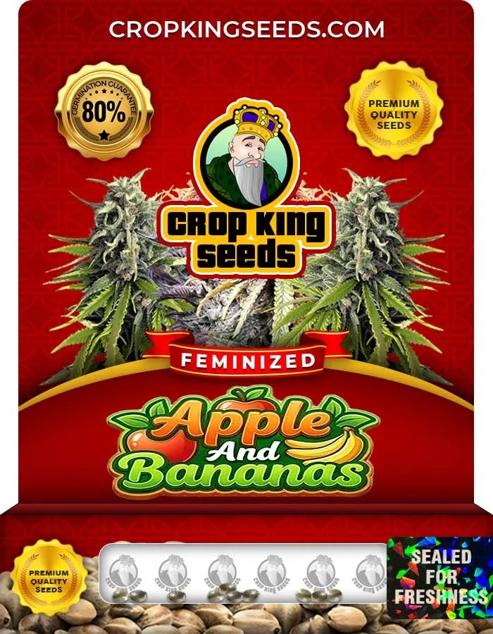 Apple And Bananas Strain Feminized Seeds