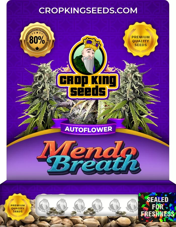Mendo Breath Autoflower Marijuana Seeds