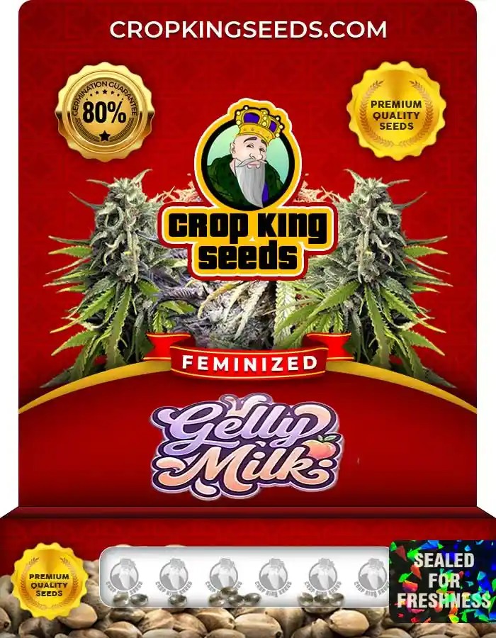 Gelly Milk Feminized Seeds