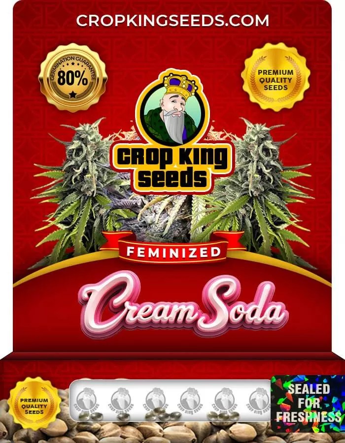 Cream Soda Strain Feminized Marijuana Seeds