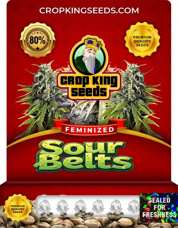 Sour Belts Feminized Seeds