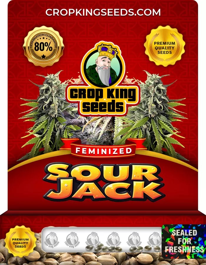 Sour Jack Strain Feminized Marijuana Seeds