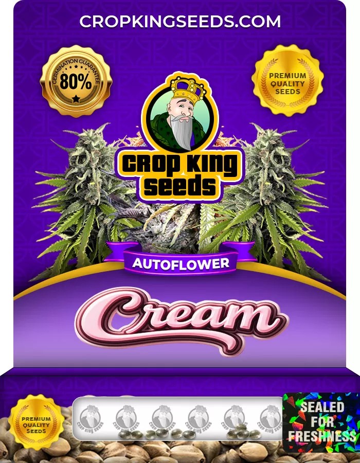 Cream Autoflowering Marijuana Seeds
